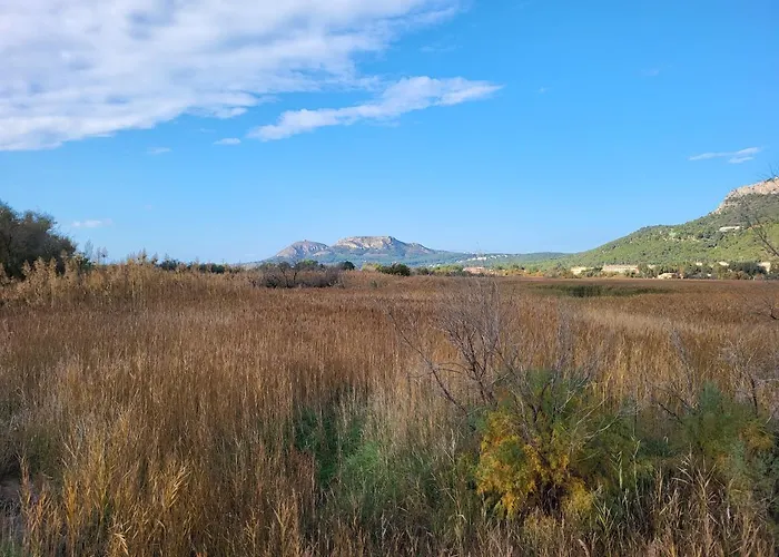 Apartamento Estartit Argonavis